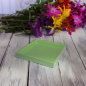 Preview: Mini Size Tray, square, paint Lacquer limegreen style